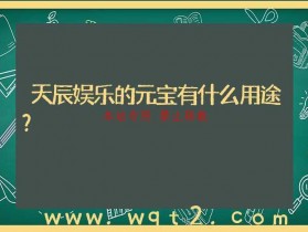 天辰娱乐的元宝有什么用途?