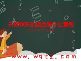 天辰娱乐的返点是什么意思