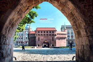 天辰娱乐怎么注册不了