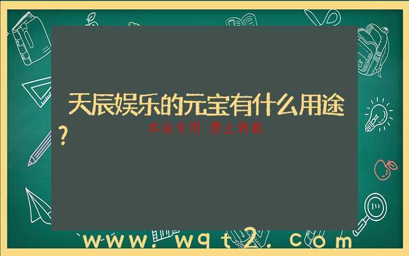 天辰娱乐的元宝有什么用途？-第1张图片